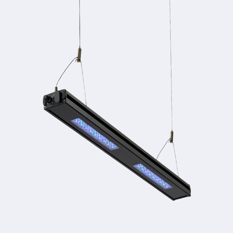 Edge 24