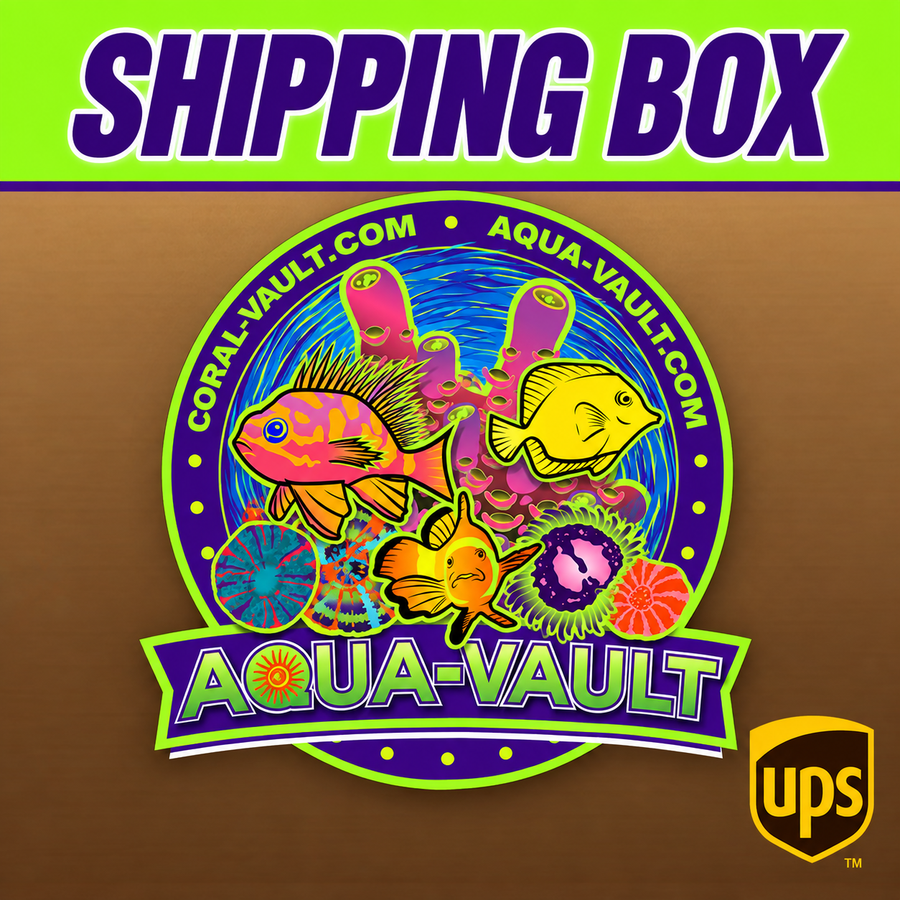 Shipping Box