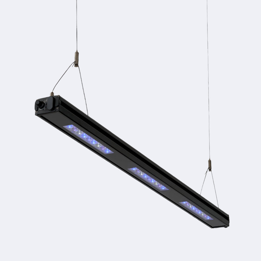 Edge 35