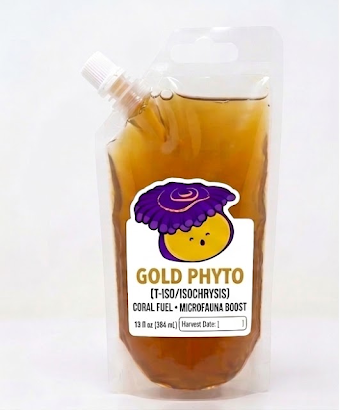 Gold Live Phytoplankton