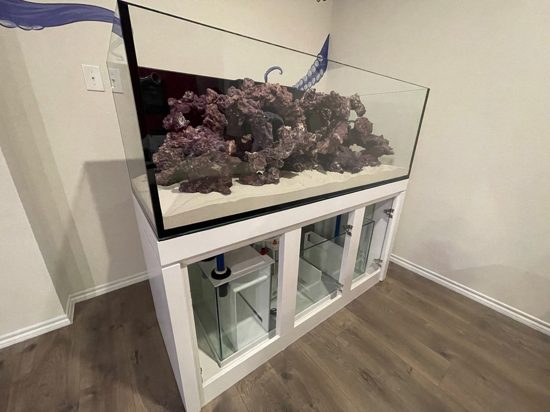 Monthly Aquarium Service Subscription – Aqua-Vault