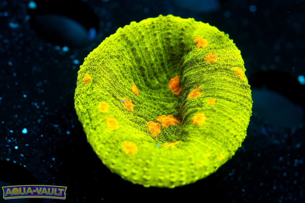 Space Invader Chalice