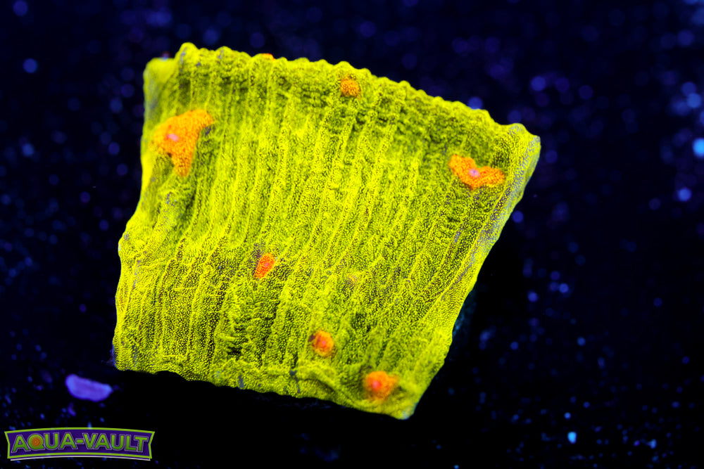 Space Invader Chalice 2