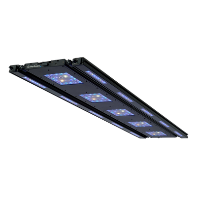 Meridian 63 Edge Bar Bundle