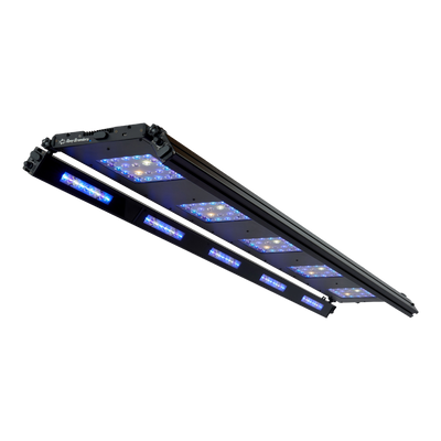 Meridian 63 Edge Bar Bundle