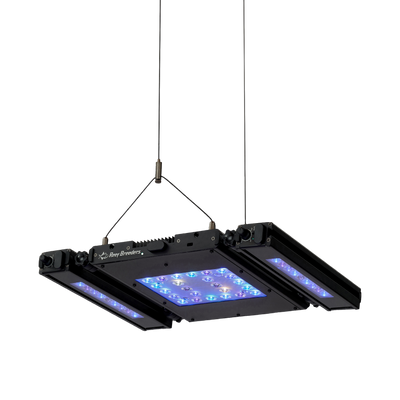 Meridian Hanging Wires