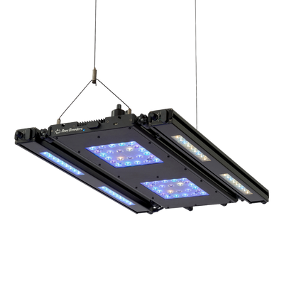 Edge Articulating Mounts