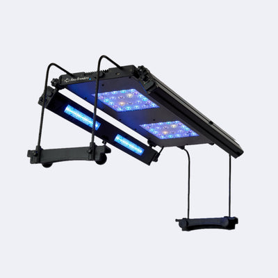 Meridian 24 Edge Bar Bundle