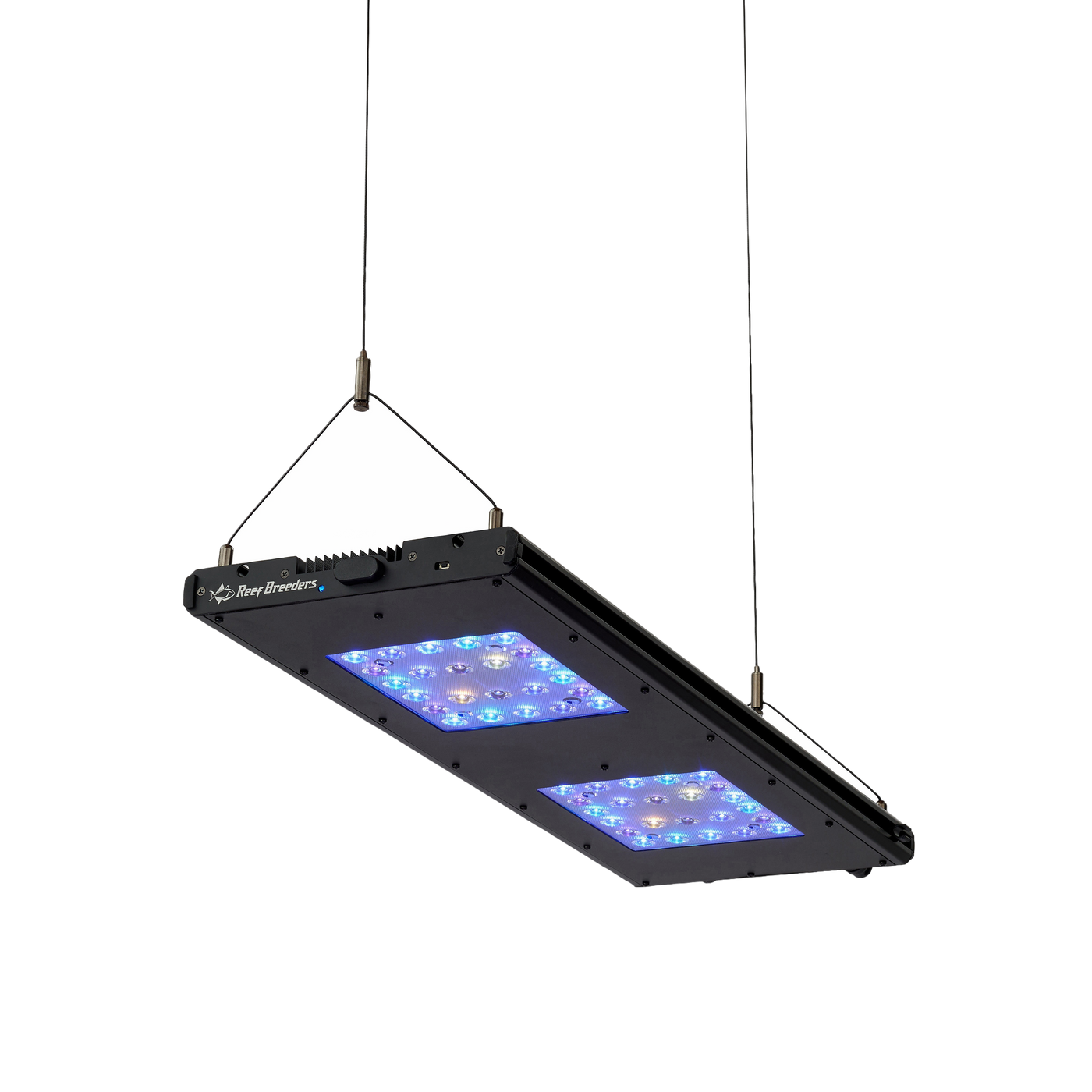 Meridian Hanging Wires