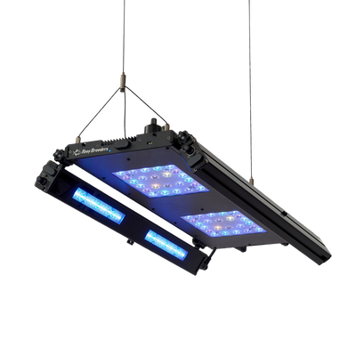 Meridian 24 Edge Bar Bundle