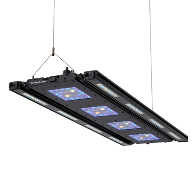 Meridian 45 Edge Bar Bundle