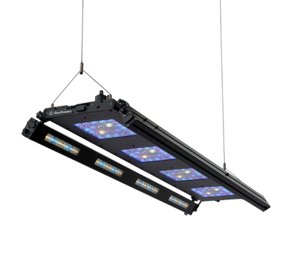 Meridian 45 Edge Bar Bundle