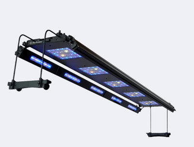 Meridian Side of tank Mounts