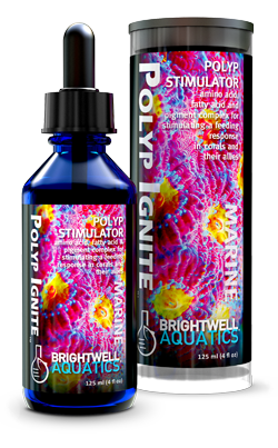 Polyp Ignite - 60ml