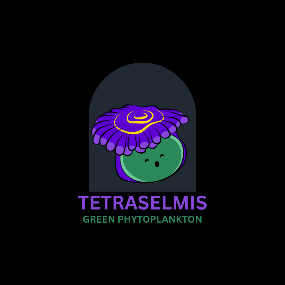 Green Live Phytoplankton