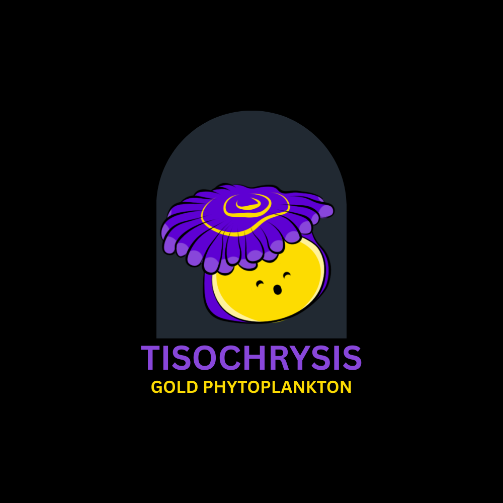 Gold Live Phytoplankton